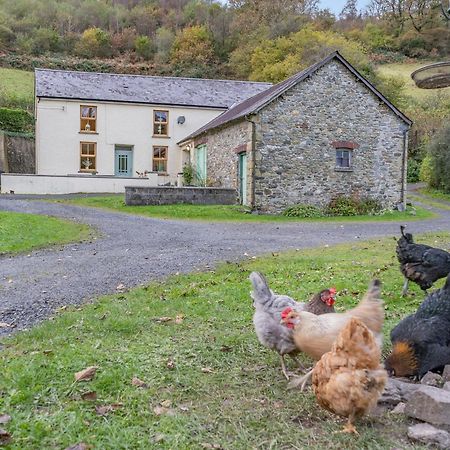 Pwll Farmhouse Llanllawdog Exteriér fotografie