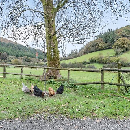 Pwll Farmhouse Llanllawdog Exteriér fotografie