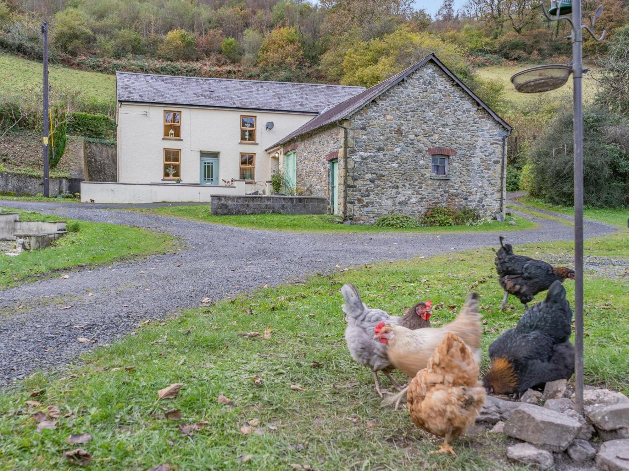 Pwll Farmhouse Llanllawdog Exteriér fotografie